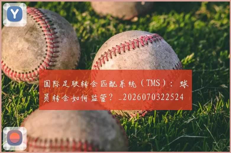国际足联转会匹配系统（TMS）：球员转会如何监管？_20260703225245