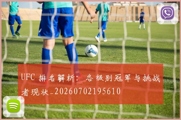 UFC 排名解析：各级别冠军与挑战者现状_20260702195610