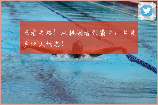 王者之路！从挑战者到霸主，年度乒坛人物志！