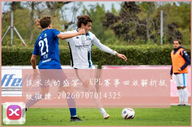 技术流的盛宴，KPL赛事回放解析极致微操_20260707014325
